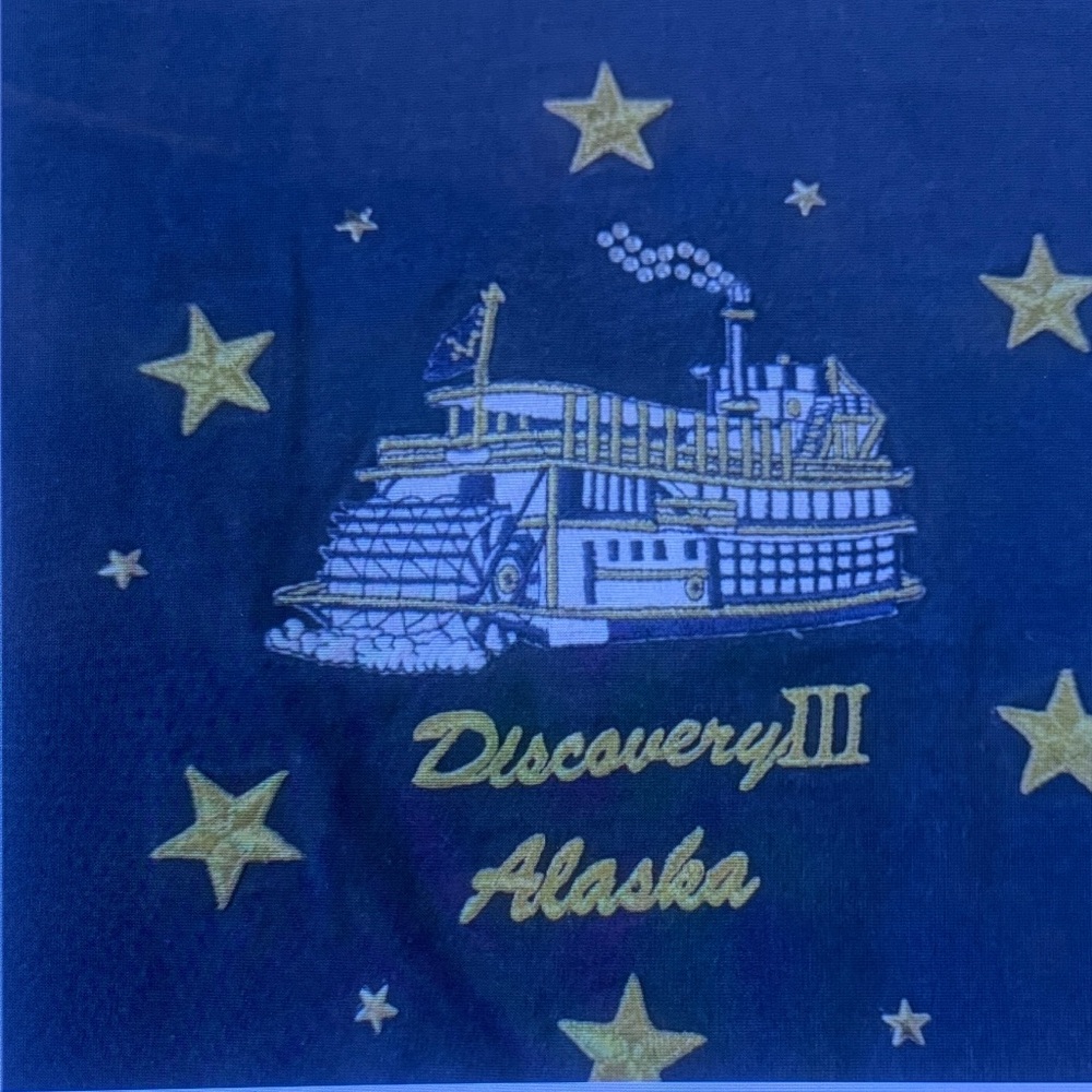 Kids Navy 'Discovery III Alaska' Graphic Tee - Picture 2 of 6